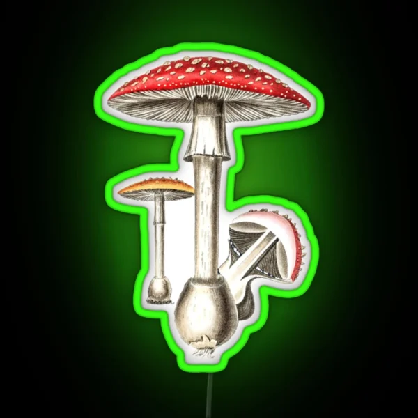 Amanita Muscaria Mushroom Botany Illustration RGB Neon Sign