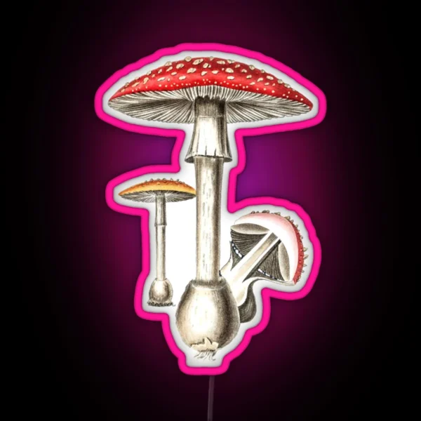 Amanita Muscaria Mushroom Botany Illustration RGB Neon Sign