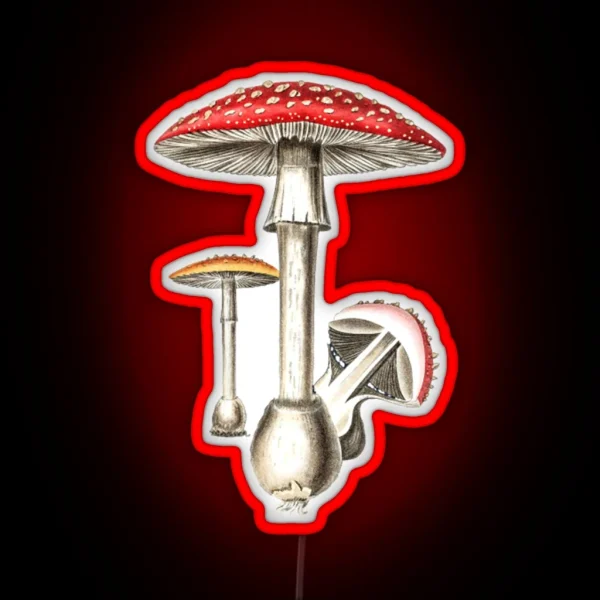 Amanita Muscaria Mushroom Botany Illustration RGB Neon Sign
