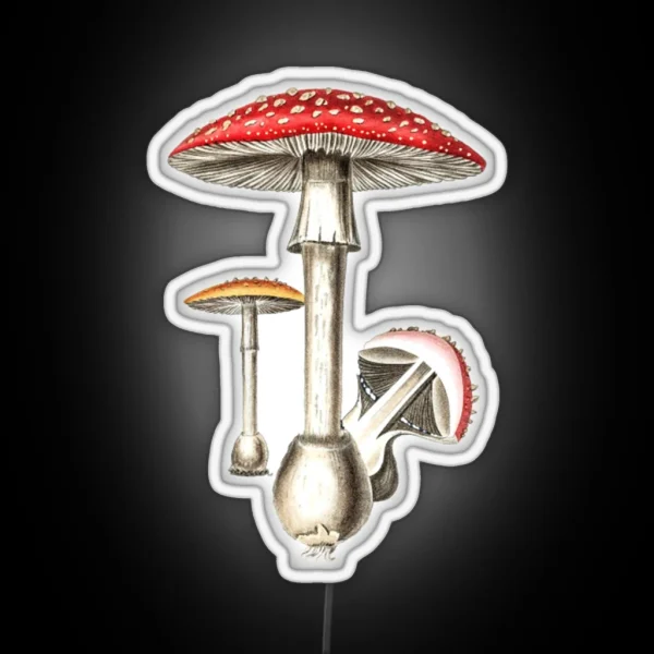 Amanita Muscaria Mushroom Botany Illustration RGB Neon Sign