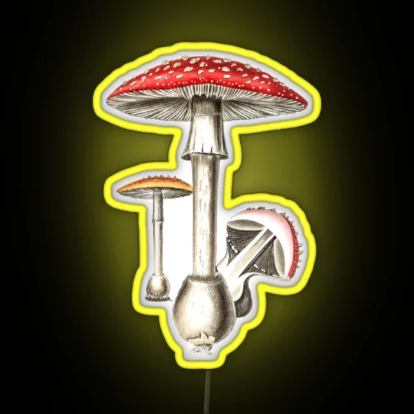 Amanita Muscaria Mushroom Botany Illustration RGB Neon Sign