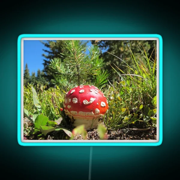 Amanita Muscaria Mushroom RGB Neon Sign