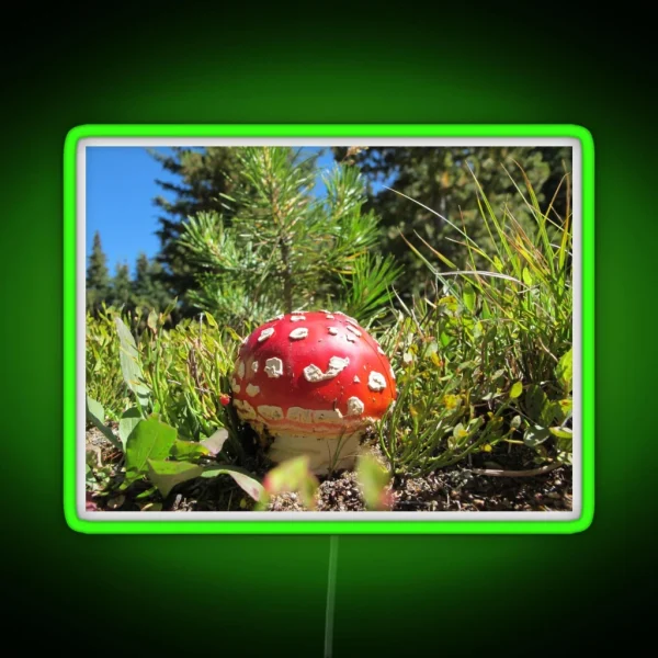 Amanita Muscaria Mushroom RGB Neon Sign