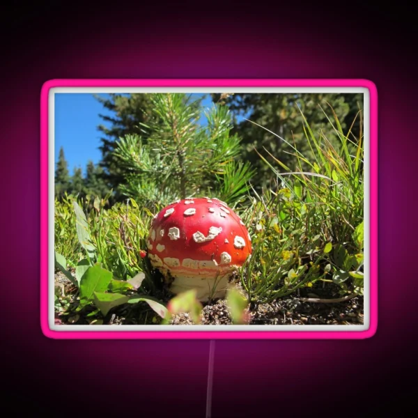 Amanita Muscaria Mushroom RGB Neon Sign