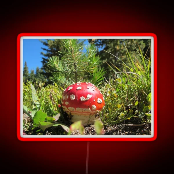 Amanita Muscaria Mushroom RGB Neon Sign