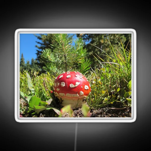 Amanita Muscaria Mushroom RGB Neon Sign