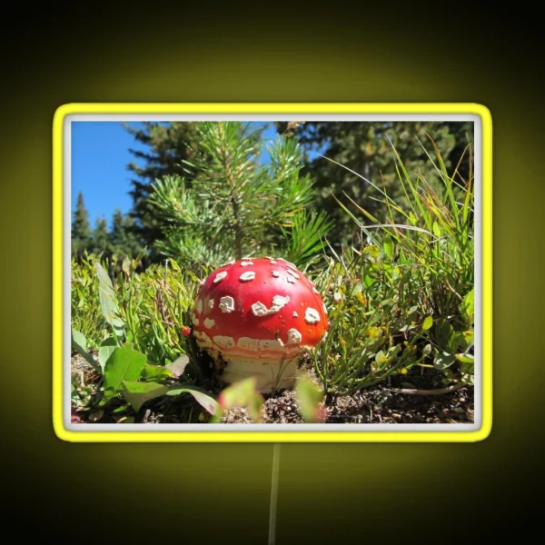 Amanita Muscaria Mushroom RGB Neon Sign