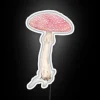 Vibrant Neon Sign featuring Amanita Muscaria Mushroom in Glowing Color