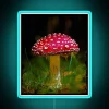 Mushroom enthusiast's vintage botanical art original Amanita Muscaria design