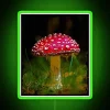 Vintage Amanita Muscaria Mushrooms in Vibrant Neon RGB Illumination Sign