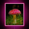 Vintage Amanita Muscaria mushroom botanical art original colorful RGB lighting.