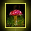 Whimsical Amanita Muscaria Mushroom Motif in Vibrant RGB Neon Lighting Design