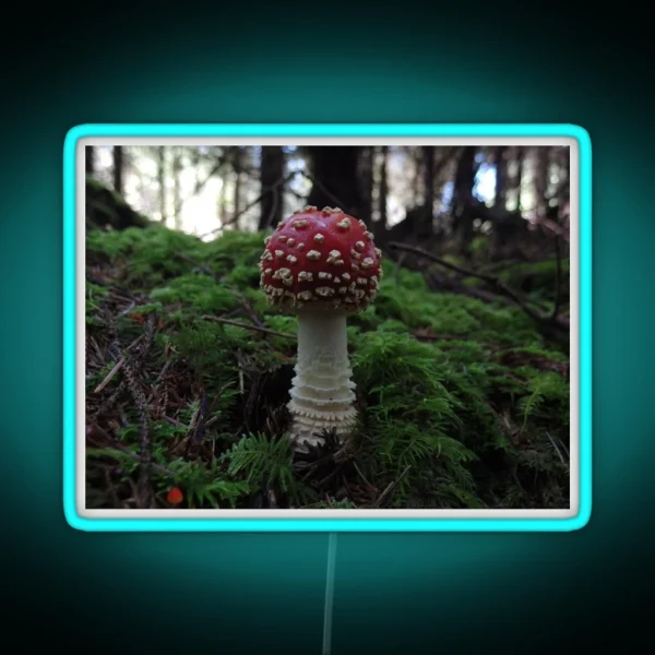 Amanita Muscaria RGB Neon Sign