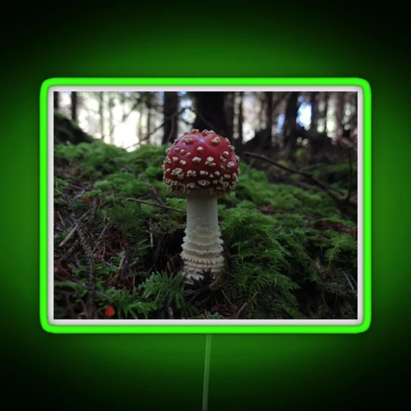 Amanita Muscaria RGB Neon Sign