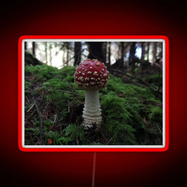Amanita Muscaria RGB Neon Sign