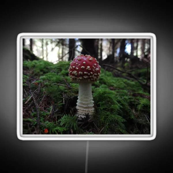 Amanita Muscaria RGB Neon Sign