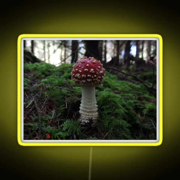 Amanita Muscaria RGB Neon Sign