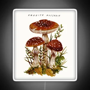 Amanita Muscaria RGB Neon Sign