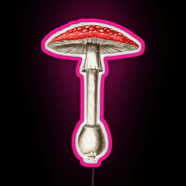 Amanita Muscaria RGB Neon Sign