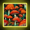 Amanita Mushroom Joy RGB Neon Sign - Image 5