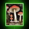 Colorful Amanita mushroom inspired RGB LED neon wall art decoration
