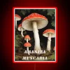 Brighten up your space with this vibrant Amanita RGB sign