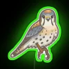 American Kestrel RGB Neon Sign - Image 4