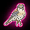 American Kestrel RGB Neon Sign - Image 6