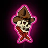 Vintage inspired cowboy skull neon RGB LED digital art display.