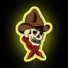 Authentic Vintage Western American Style RGB Neon Sign Display Decoration