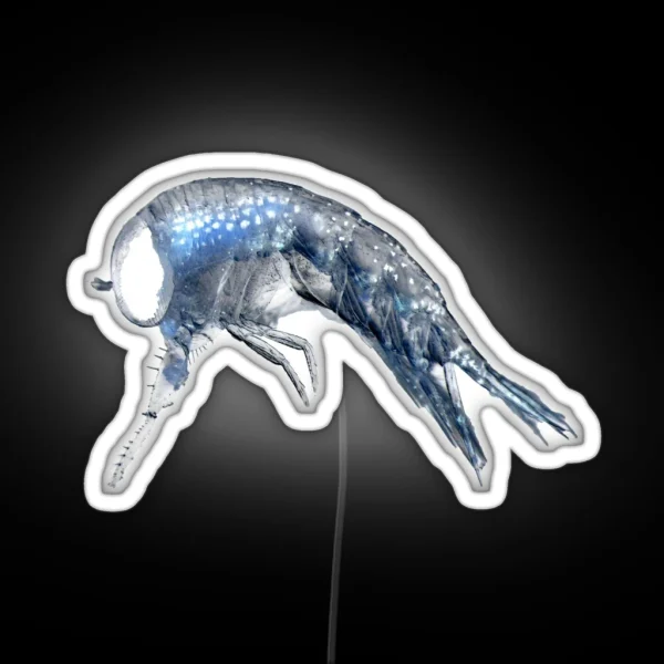 Amphipods RGB Neon Sign
