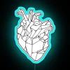 Neon anatomical heart shape decorative lighting for modern interior design.