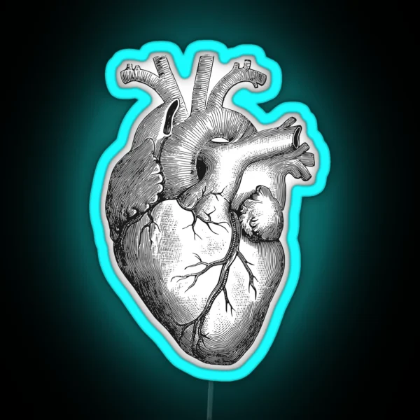 Anatomical Heart RGB Neon Sign