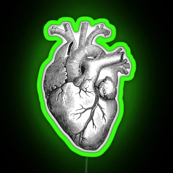 Anatomical Heart RGB Neon Sign