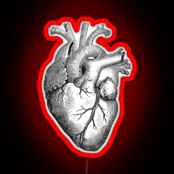 Anatomical Heart RGB Neon Sign