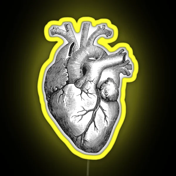 Anatomical Heart RGB Neon Sign