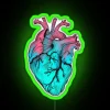 Glowing anatomically correct ice lolly heart with vibrant color accents