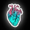 Unique anatomical heart shape neon light decor for interior spaces.