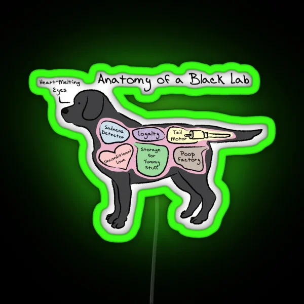 Anatomy Of A Black Lab RGB Neon Sign