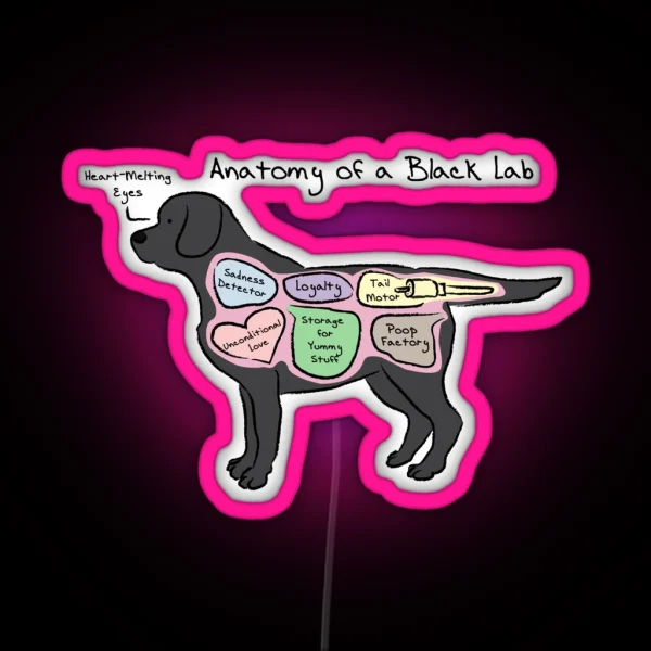 Anatomy Of A Black Lab RGB Neon Sign
