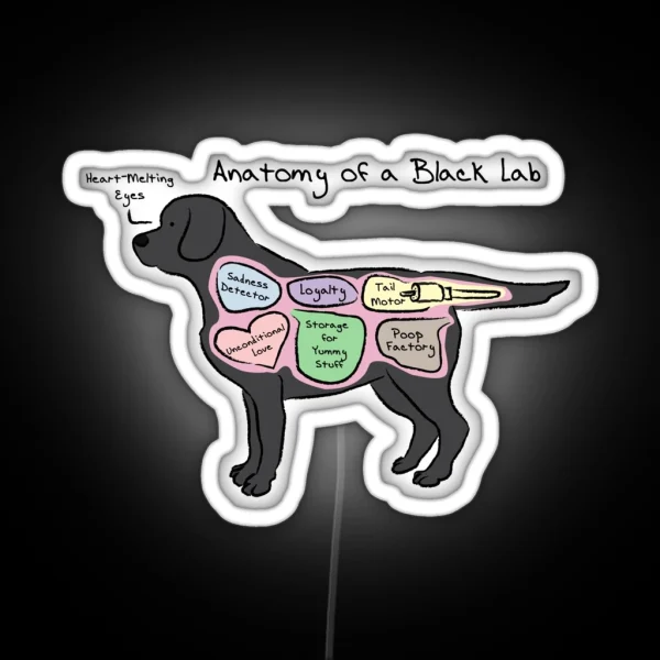 Anatomy Of A Black Lab RGB Neon Sign