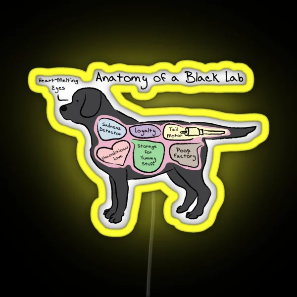 Anatomy Of A Black Lab RGB Neon Sign
