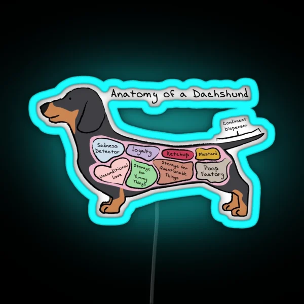 Anatomy Of A Dachshund RGB Neon Sign