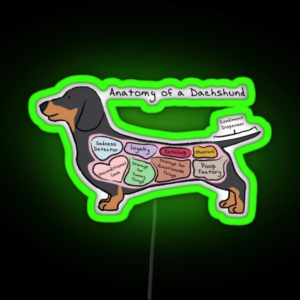 Anatomy Of A Dachshund RGB Neon Sign