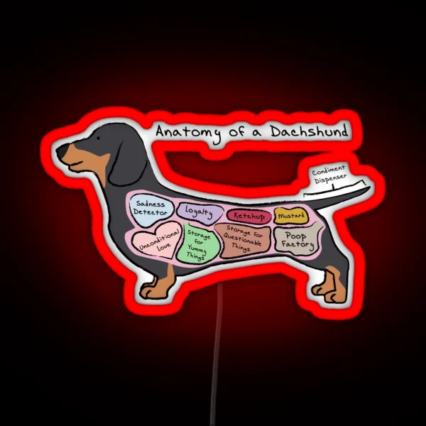 Anatomy Of A Dachshund RGB Neon Sign