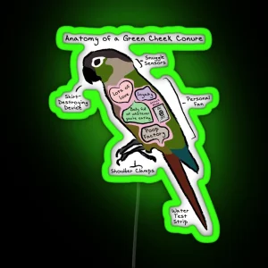 Anatomy Of A Green Cheek Conure RGB Neon Sign