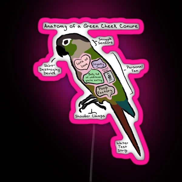 Anatomy Of A Green Cheek Conure RGB Neon Sign