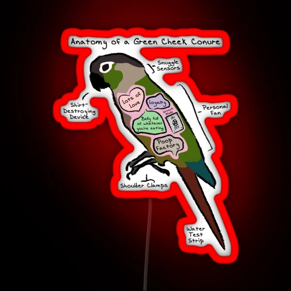 Anatomy Of A Green Cheek Conure RGB Neon Sign