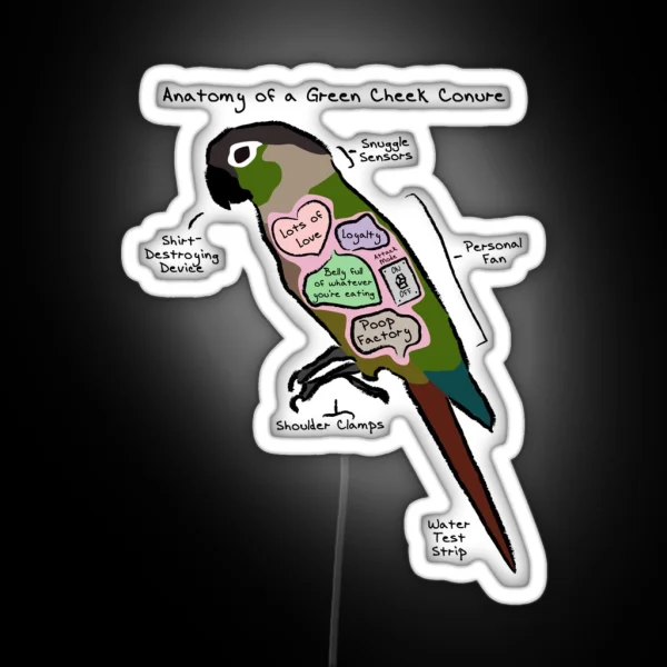 Anatomy Of A Green Cheek Conure RGB Neon Sign