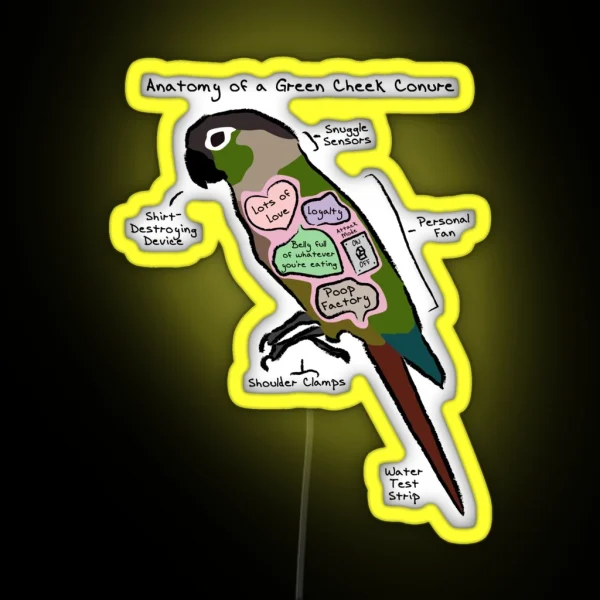 Anatomy Of A Green Cheek Conure RGB Neon Sign